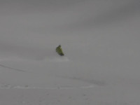 May 11th Mammoth pow!